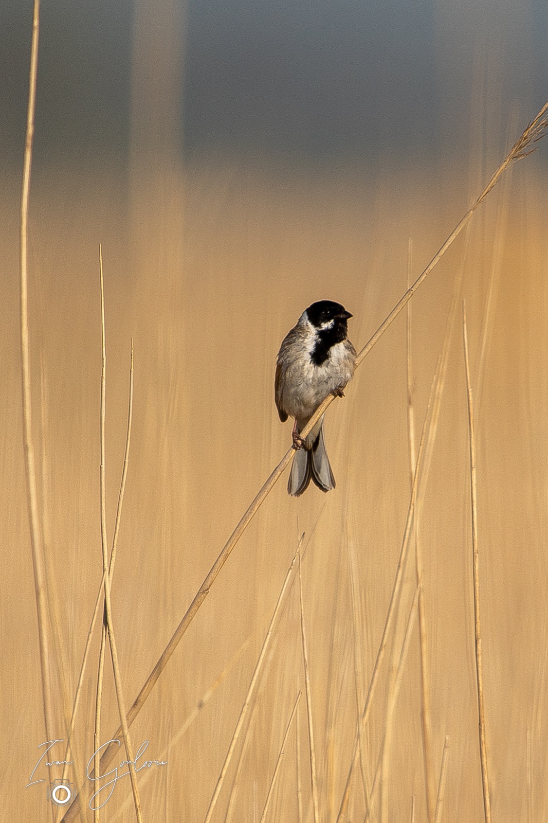 14 april 2022 094424  5D46048